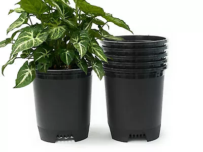 3 Gallon Nursery Pot Plastic Planters 6 Pack Plant Pots With Drainage Holes • $31.99