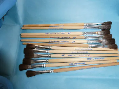 Lot Of 12 Vintage Eaton Laboratories Hobbyist 1/2 Wood Art Paint Brushes NEW • $34