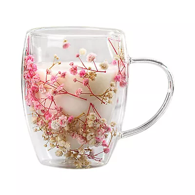 Dry Flowers Double Wall Glass Cup Glass Tea Cup Double Wall Insulated Coffee Mug • $15.13