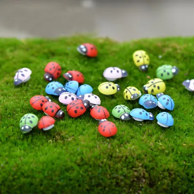 100Pcs Mini Colorful Ladybug Miniature HomeDecor DIY Bonsai Garden Lawn Ornament • £3.46