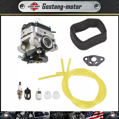 Carburetor Fit For Troy Bilt TB516EC Edger 29cc 4 Stroke Carb Air Filter Engines • $10.29