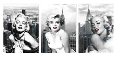 3 Dimension 3d Lenticular Framed Pictures. 13”x17” Marilyn Monroe • $19.95