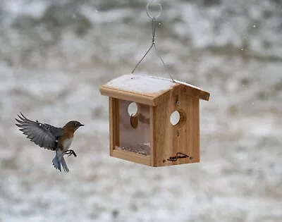 Kettle Moraine Hanging Cedar Bluebird Mealworm Feeder #8515 Offer Mealworms • $39