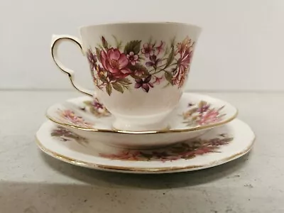 Colclough Wayside Trio Cup & Saucer And Side Plate • £4.99