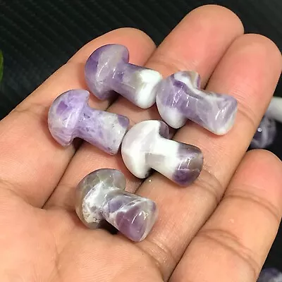 10pc Natural Dream Amethyst Mushroom Quartz Crystal Reiki Healing Gem Random • $5