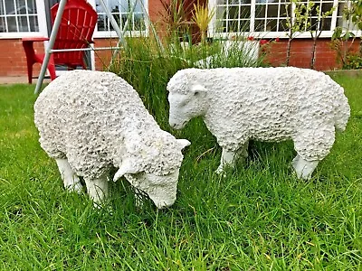 Spring Lamb Garden Ornament Resin Laying Down Sheep Statue Farmyard • £64.99