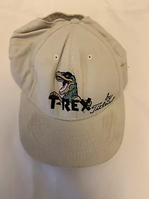 Classic T Rex Baseball Hat • $8