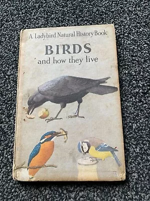  Vintage Matt Ladybird Book 651 Natural History Series Birds And How They Live  • £4.90