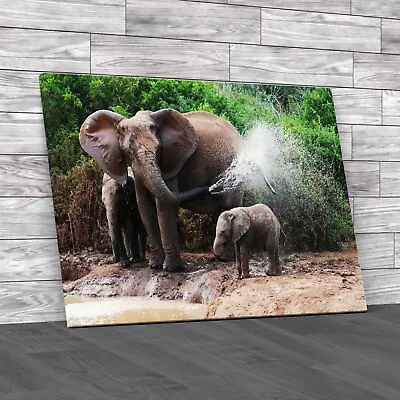 African Elephant Mother And Baby Cooling Off Canvas Print Large Picture Wall Art • £14.95