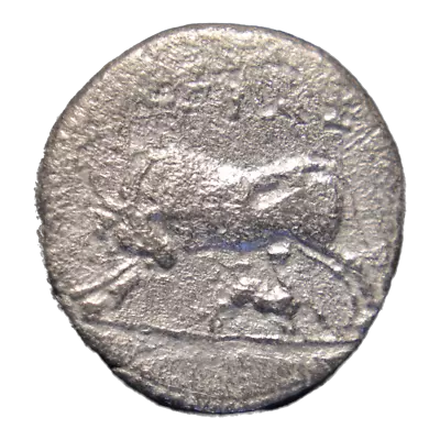 Illyrian Greek Coin 229-48BC Apollonia AR Drachm • $110.99