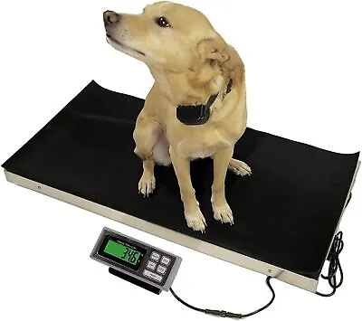 700 LB X 0.2 LB 44 X 22 Inch XL Platform Animal Vet Digital Scale Extra Large • $454.95