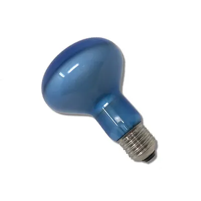 Daylight R80 100w ES Spotlight Bulb • £8.14