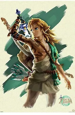 Zelda Tears Of The Kingdom Link Unleashed 24x36 Poster Licensed Nintendo NEW FUN • $17.98