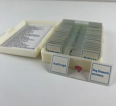 Vintage AmScope Set Of 25 Microscope Slides W/ Plastic Case Animals Blood Etc • $19.99