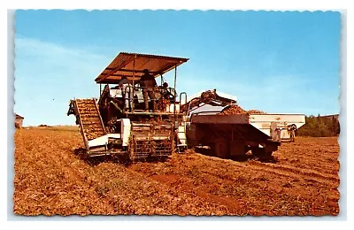 $4.97 • Buy Postcard Potato Harvester At Aroostook County, Maine 1960's T86