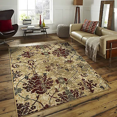 Luxury Contemporary Rug 8x11 Red Flowers Area Rugs 9x12 Grayish Blue 5x8 Carpet  • $9.98