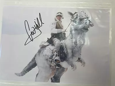 Star Trek Mark Hamill Hand Signed Autograph - 8  X 12  Photo W/ COA • $145