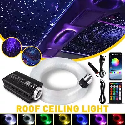 1000pcs Home Car Headliner Star Light Kit Roof Twinkle Ceiling Light Fiber Optic • $56.59