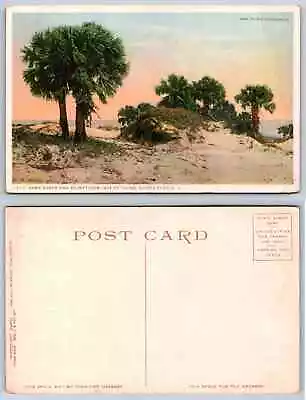 Vintage Postcard - Sand Dunes And Palmettoes Isle Of Palms Charleston SC • $12.85