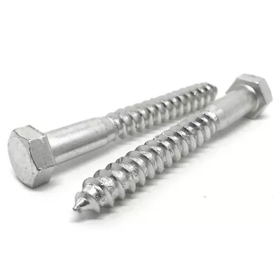 5/16  Stainless Steel Hex Lag Screws (Choose Length & Qty) • $391.09