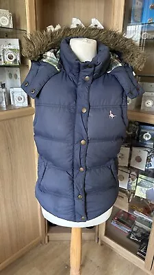 Jack Wills Ladies Bodywarmer Great Conditions ( Size 8 ) A51 • £4