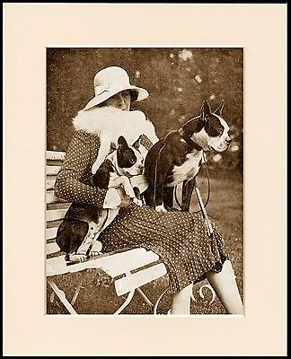 Boston Terrier Lady And Dogs Vintage Style Dog Print Mounted Ready To Frame • $8.70