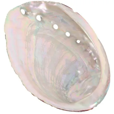  Aromatherapy Stand Water Fresh Household Decor Abalone Shell • £5.48