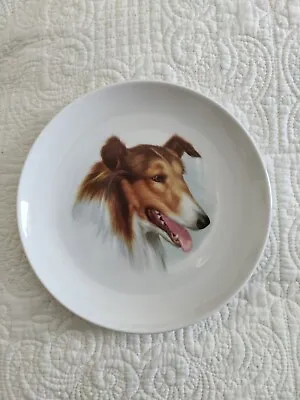 Kaiser Plate West Germany Collie 7 3/4  #12 • $9.99