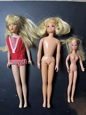Vintage Barbie Skipper 1963 1969 Dolls Lot • $20