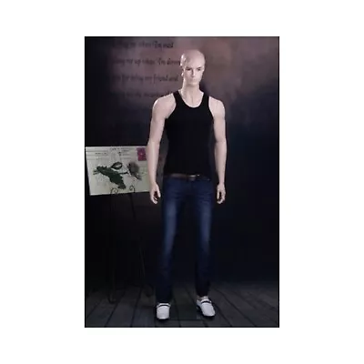 Male Full Body Fiberglass Realistic Adult Mannequin With Molded Hair And Face • $322.65