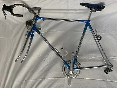  56cm Romany Steel Road Bike With Campagnolo Chorus   • $700