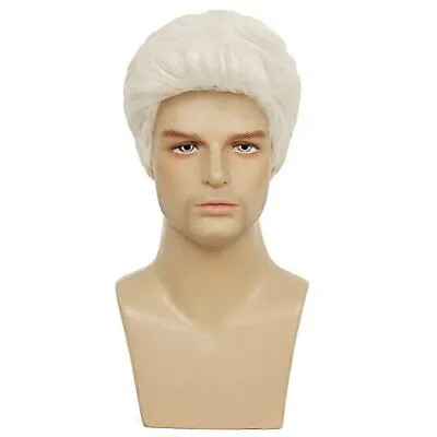 Mens White Wig Short Straight Natural Old Men Realistic Layered Hair Wig Dail... • $37.86