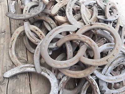 40 Used Steel Horseshoes Arizona Horseshoes Crafts Western Decor • $45