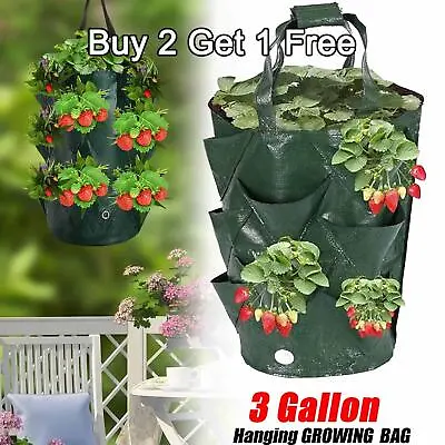 3Gallon Strawberry Grow Bag Grow Pockets Vegetable Hanging Planter Container UK • £4.89