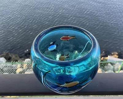 Aquarium Vase Mid Century Murano Ocean Scene Fish Cenedese • $75