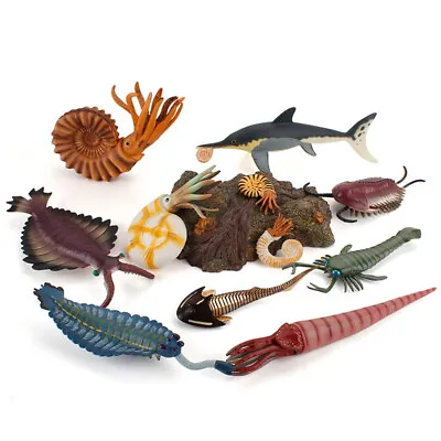 Multi-style Marine Animal Toys Children's Gift ORTHOCERAS Animal Model • $16.81