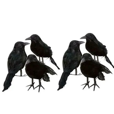 6PCS Black Lifesize Raven Movie Prop Fake Crow Hunting Decor Birds UK • £9.19