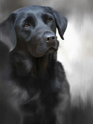 £119 • Buy Nigel Hemming BLACK LABRADOR Print,  Labrador Gun Dogs Art Canine Gift