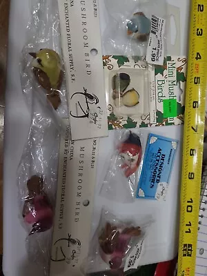 $19.99 • Buy Lot Of 6 Artificial Mushroom Birds For Crafting New In Packages.       A1