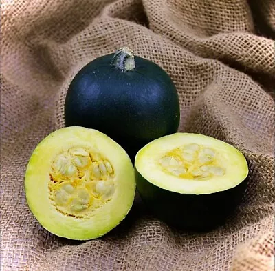 Gem Squash Seed - Vegetable - 12 Fresh Quality Seeds • £3.49