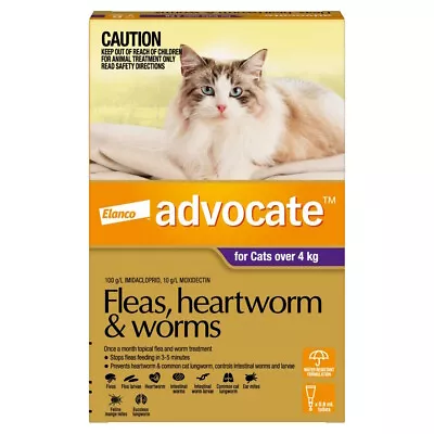 Advocate Flea & Worm Control For Cats Over 4kg • $105.27