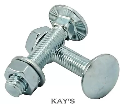 M10 CARRIAGE BOLTS WITH NUTS & WASHERS CUP SQUARE COACH SCREWS ZINC PLATED 10mm  • £83.26