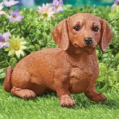 Realistic Texture & Detail Dachshund Puppy Dog Garden Statue • $39.99