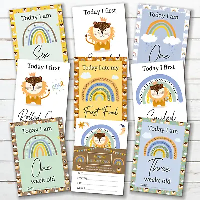 Rainbow Baby Milestone Cards • Baby Shower Gift • New Baby Gift • Animal • Lion • £5.99