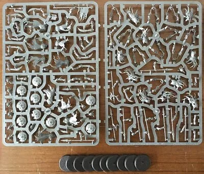 Warhammer Age Sigmar Old World. Soulblight Gravelords Deathrattle Skeletons X10. • $44