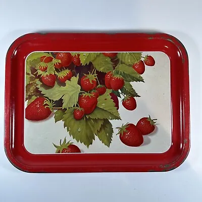 Single Vintage Metal Strawberry Serving Lap Tray 13.75 X 10.5” *SEE DESCRIPTION* • $2.80