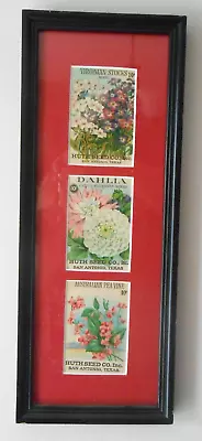 Vintage Framed Flower Seed Packets Huth Seed Company 6 1/2  By 16 1/2  • $19.99