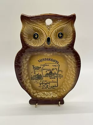 Owl Souvenir Wall Plaque Spoon Rest Mississippi Ceramic Vintage Brown 6.5  • $6