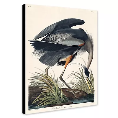 Great Blue Heron By John James Audubon - Canvas Framed Wall Art Print  • £58.99