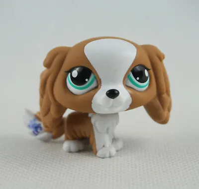 Littlest Pet Shop Brown White  Kids Toys King Charles Spaniel Dog LPS #1825 • £10.99